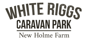 White Riggs Caravan Park